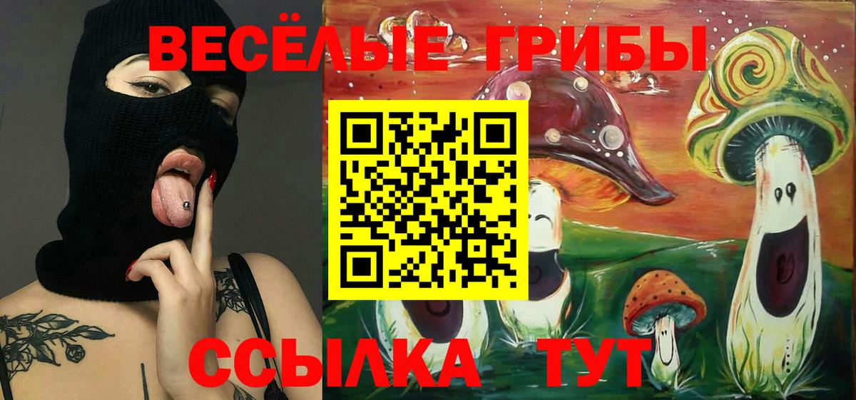 Галлюциногенные грибы прущие грибы Корсаков